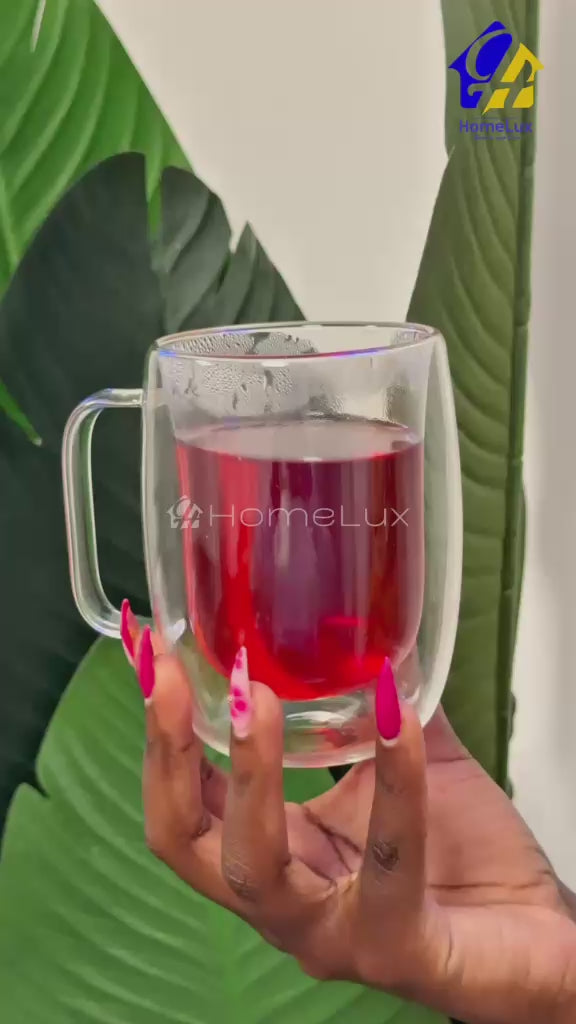 250ml 2-Pcs Danny Home Double Walled Glass Mug with Handle Set