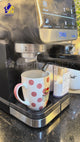 DSP Expresso Coffee Maker with ULKA 20 Bar Pump & Automatic Milk Frother