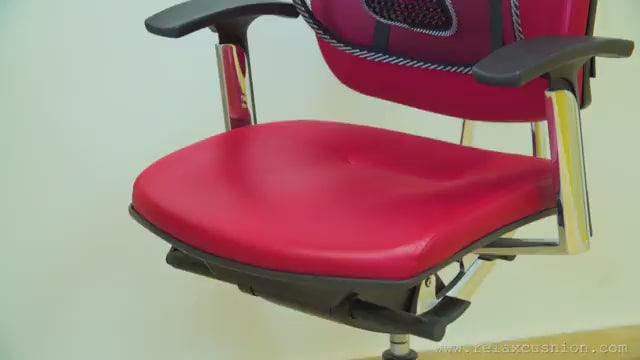 Seat back lumbar support BACK REST mesh