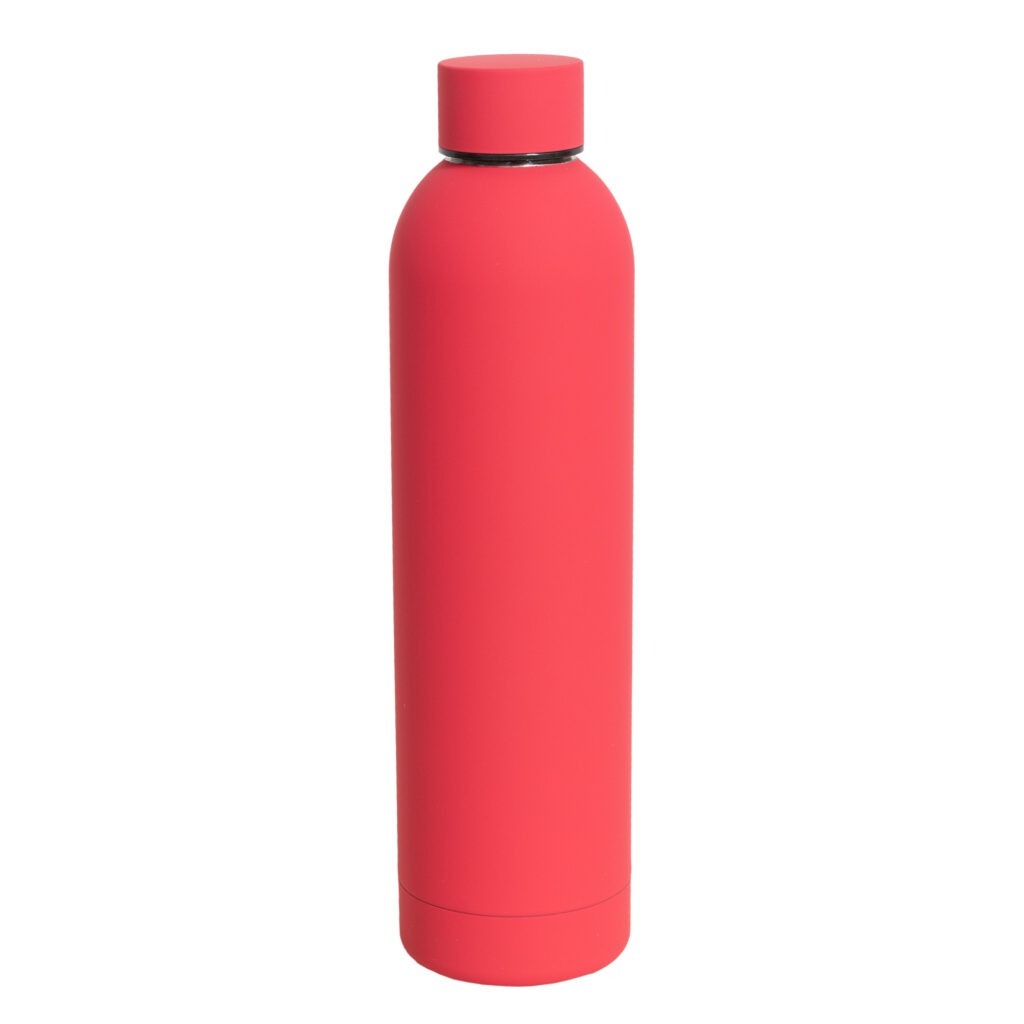 Stainless Steel Water Bottle,Modern Insulated  Leakproof Vacuum Cup with Lid