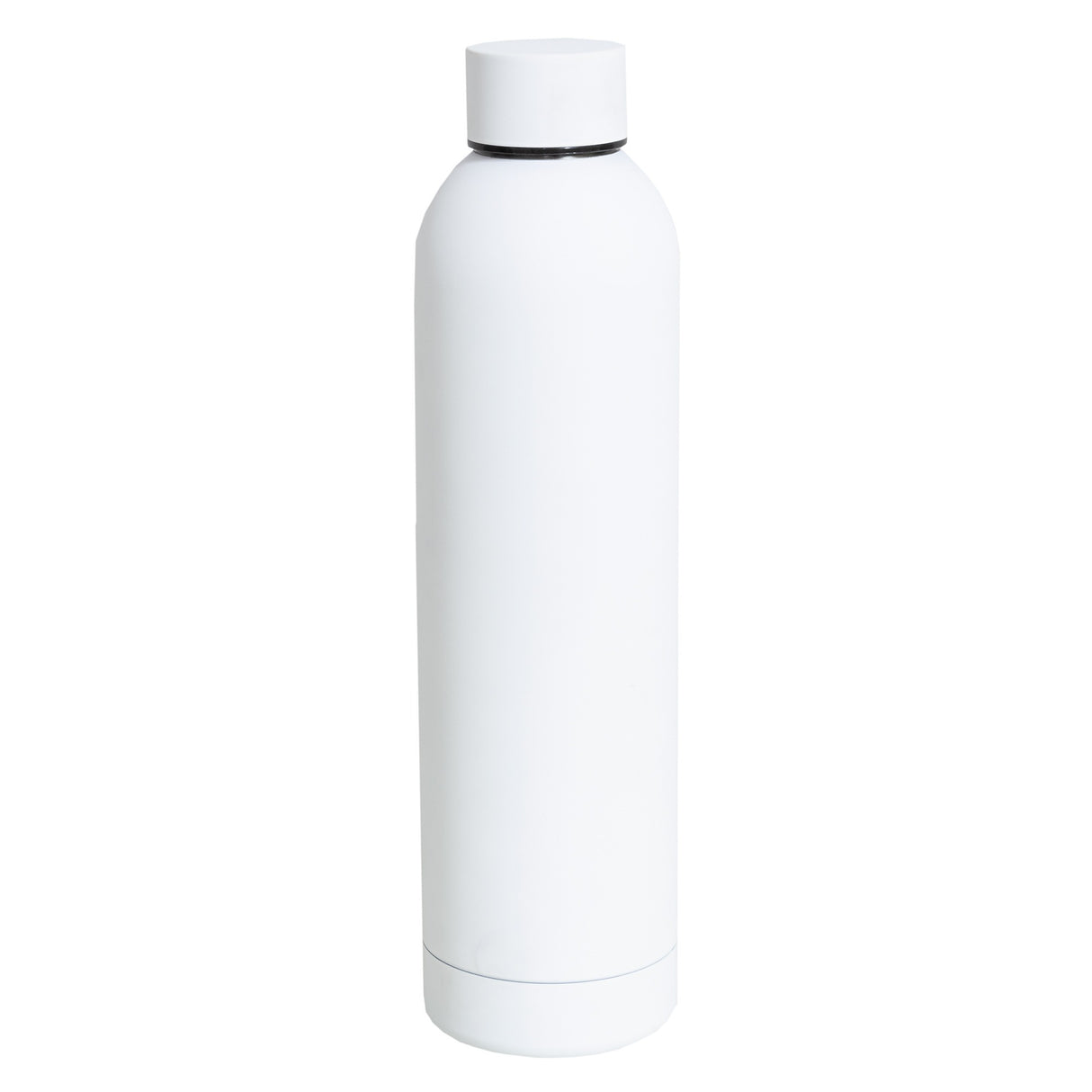 Stainless Steel Water Bottle,Modern Insulated  Leakproof Vacuum Cup with Lid