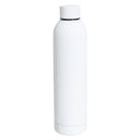 Stainless Steel Water Bottle,Modern Insulated  Leakproof Vacuum Cup with Lid