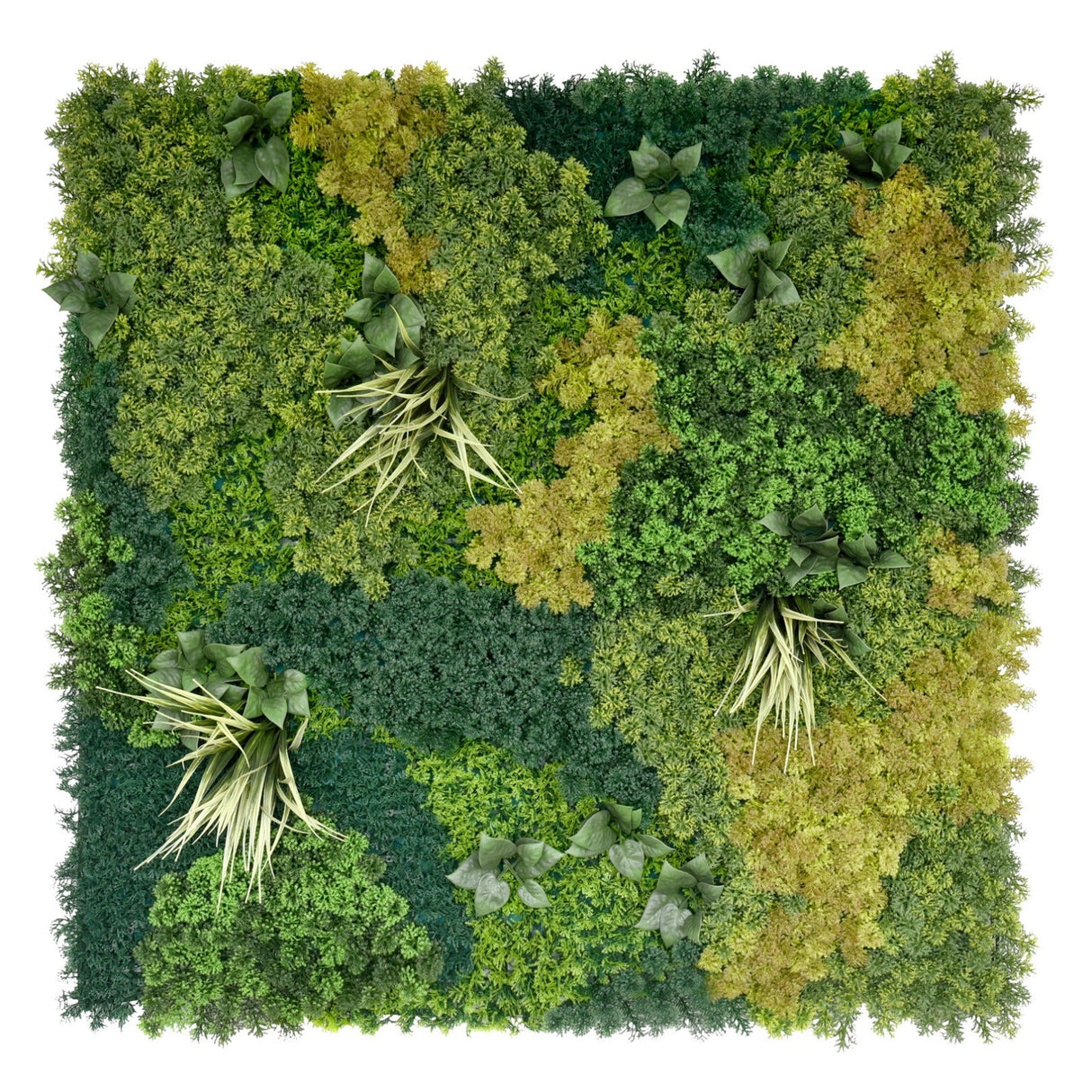 Artificial green wall panel MOSS GARDEN 100x100 cm