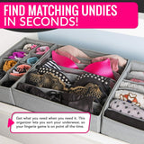 Closet Drawers Organizer Storage for Underwear, Bra, Socks and Clothes